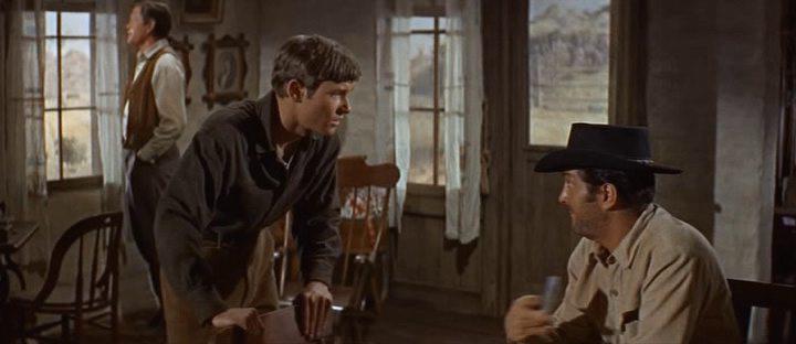 Кадр из фильма Сыновья Кэти Элдер / The Sons of Katie Elder (1965)
