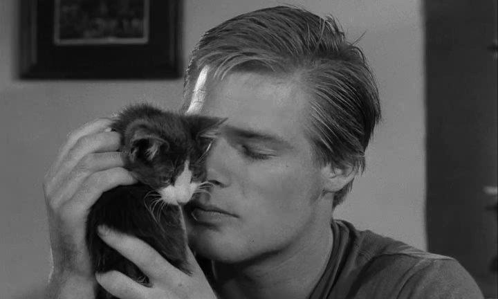 Кадр из фильма Быстрее, кошечка! Убей, убей! / Faster, Pussycat! Kill! Kill! (1965)