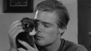 Кадры из фильма Быстрее, кошечка! Убей, убей! / Faster, Pussycat! Kill! Kill! (1965)