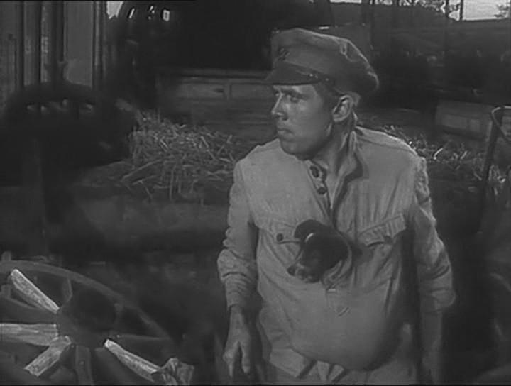 Кадр из фильма Пакет (1965)