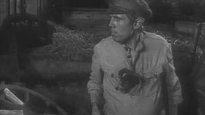 Кадры из фильма Пакет (1965)