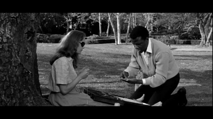 Кадр из фильма Клочок синевы / A Patch of Blue (1965)