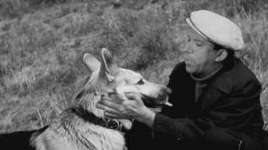Кадры из фильма Ко мне, Мухтар (1965)