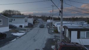 Кадры из фильма Парни из Трейлерпарка: Не легализуйте это / Trailer Park Boys: Don't Legalize It (2014)