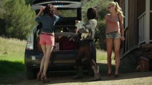 Кадры из фильма Бобры-зомби / Zombeavers (2014)