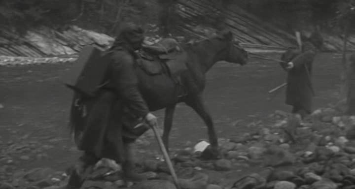 Кадр из фильма Дикий мёд / Delibal (1966)