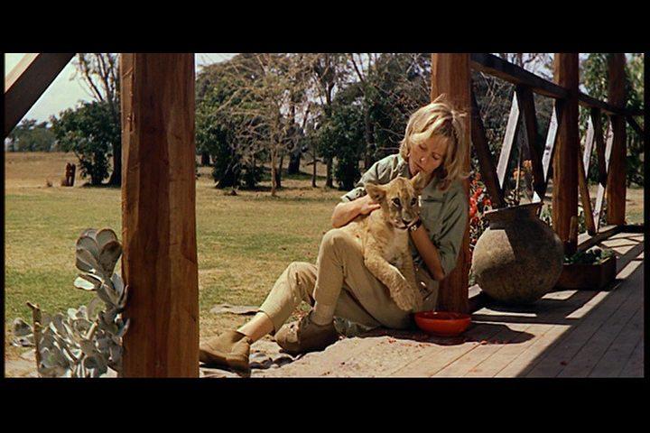 Кадр из фильма Рожденная свободной / Born Free (1966)