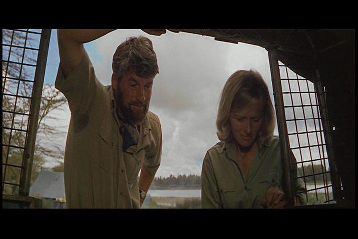 Кадр из фильма Рожденная свободной / Born Free (1966)