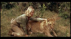 Кадры из фильма Рожденная свободной / Born Free (1966)