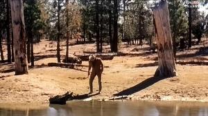Кадры из фильма Ночь Гризли / The Night of the Grizzly (1966)