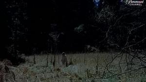 Кадры из фильма Ночь Гризли / The Night of the Grizzly (1966)