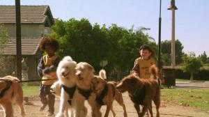 Кадры из фильма Маленькие негодяи спасают положение / The Little Rascals Save the Day (2014)