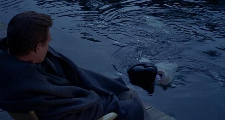 Кадр из фильма Наму, кит - убийца / Namu, the Killer Whale (1966)