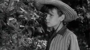 Кадры из фильма Бич божий / Bicz bozy (1966)
