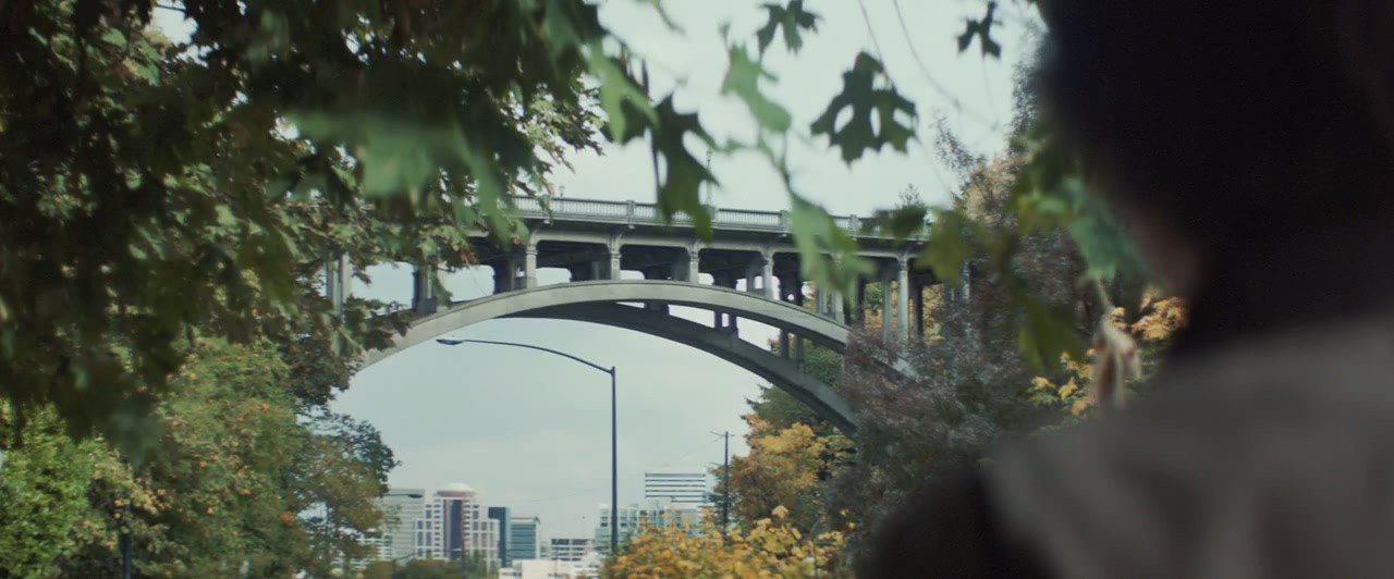 Кадр из фильма Дикая природа Джеймса / All the Wilderness (2014)