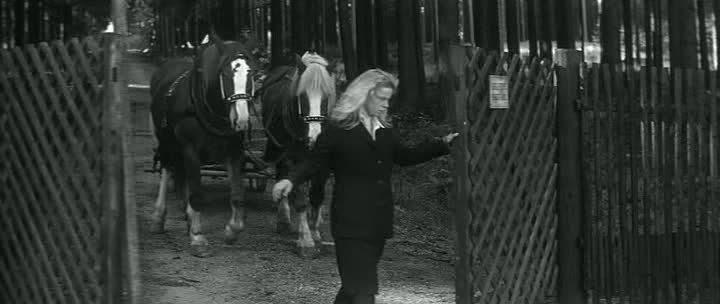 Кадр из фильма Повозка в Вену / Kocár do Vídne (1966)