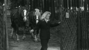 Кадры из фильма Повозка в Вену / Kocár do Vídne (1966)