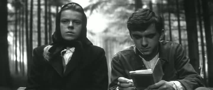 Кадр из фильма Повозка в Вену / Kocár do Vídne (1966)