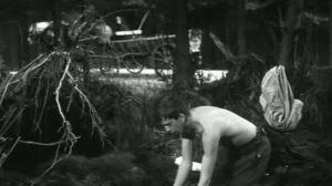 Кадры из фильма Повозка в Вену / Kocár do Vídne (1966)