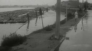 Кадры из фильма Долгая счастливая жизнь (1966)