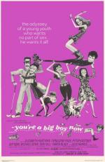 Ты теперь Большой Мальчик / You're a Big Boy Now (1966)