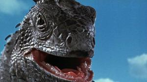 Кадры из фильма Миллион лет до нашей эры / One Million Years B.C. (1966)