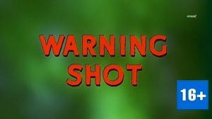 Кадры из фильма Предупредительный выстрел / Warning Shot (1967)