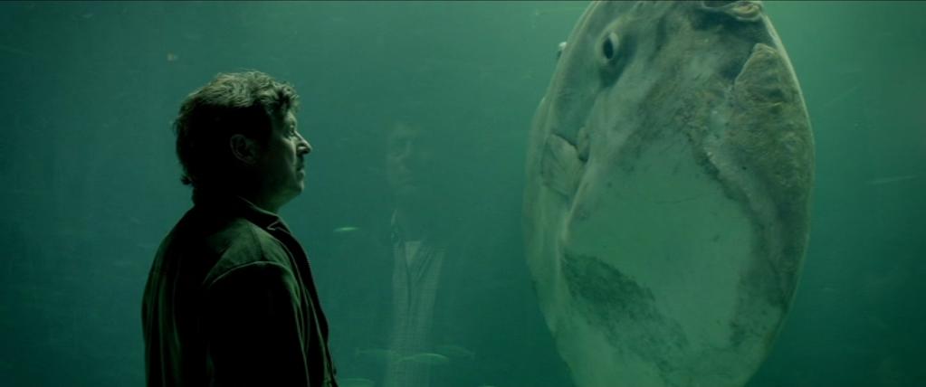 Кадр из фильма Рыба-солнце / Klumpfisken (2014)