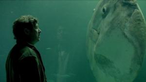 Кадры из фильма Рыба-солнце / Klumpfisken (2014)