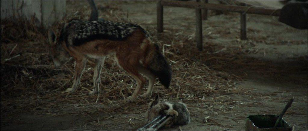 Кадр из фильма Дистанция / La distancia (2014)