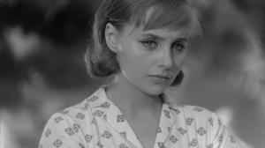 Кадры из фильма Нежность / La délicatesse (1967)