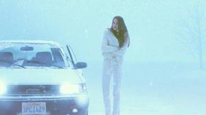 Кадры из фильма Белая птица в метели / White Bird in a Blizzard (2014)