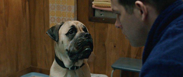 Кадр из фильма Голоса / The Voices (2014)