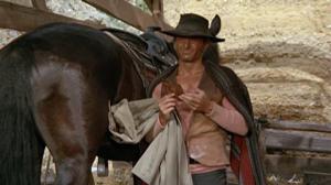 Кадры из фильма Возвращение странника / Un uomo, un cavallo, una pistola (1967)