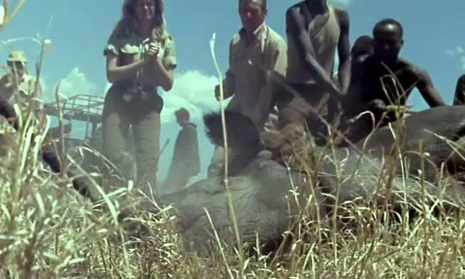 Кадр из фильма Жить, чтобы жить / Vivre pour vivre (1967)