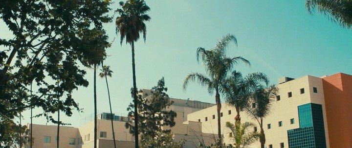 Кадр из фильма Близнецы / The Skeleton Twins (2014)