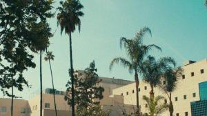 Кадры из фильма Близнецы / The Skeleton Twins (2014)