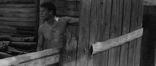 Кадр из фильма Звезды и солдаты / The Red and the White (1967)