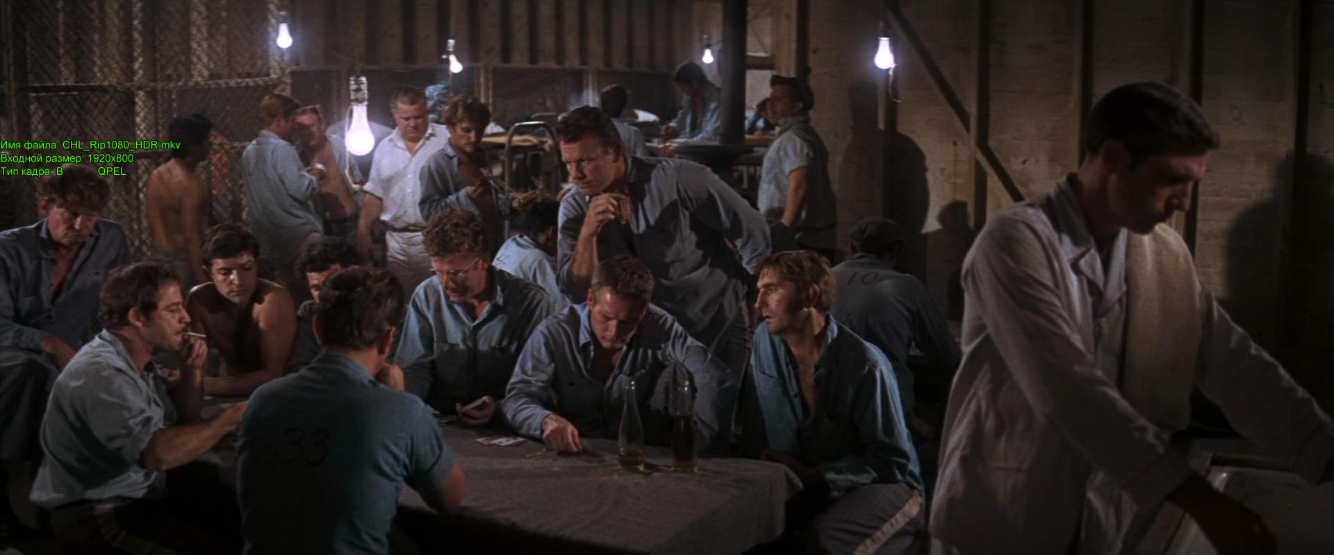 Кадр из фильма Хладнокровный Люк / Cool Hand Luke (1967)