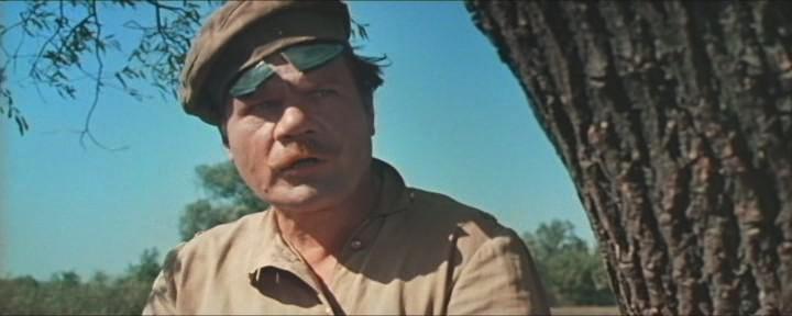 Кадр из фильма Свадьба в Малиновке (1967)