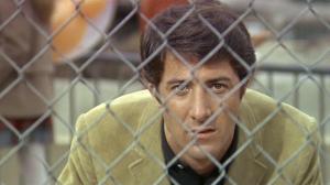 Кадры из фильма Выпускник / The Graduate (1967)