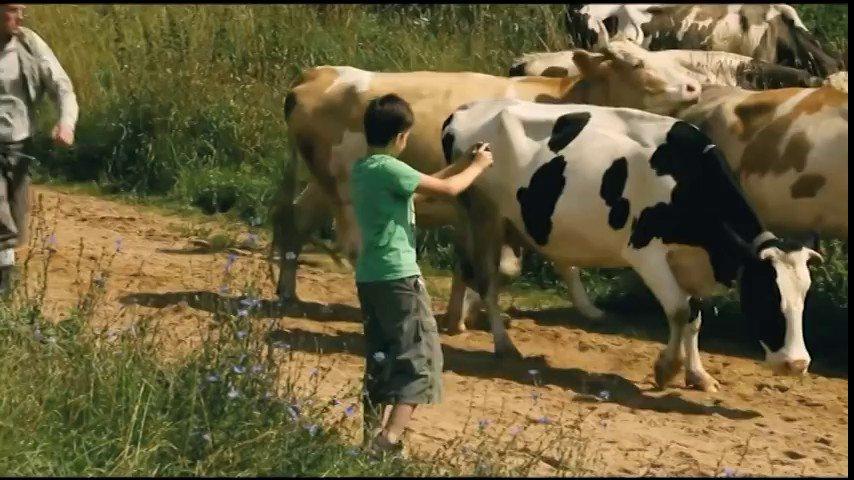 Кадр из фильма Мы с дедушкой (2014)