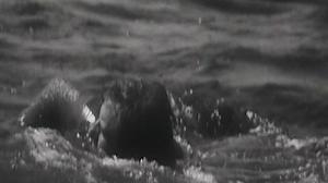 Кадры из фильма Эксперимент доктора Абста (1968)