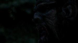Кадры из фильма Пища богов / Feed the Gods (2014)