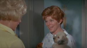 Кадры из фильма Как спасти брак (И разрушить свою жизнь) / How to Save a Marriage and Ruin Your Life (1968)