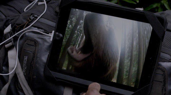 Кадр из фильма Гризли / Into the Grizzly Maze (2014)