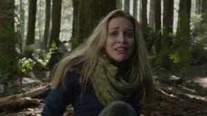 Кадры из фильма Гризли / Into the Grizzly Maze (2014)