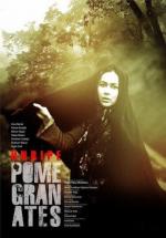 Неспелые гранаты / Anar Haye Naras (2014)