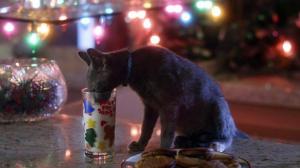 Кадры из фильма Санта Мяус / Santa Claws (2014)