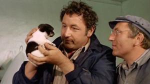 Кадры из фильма Счастливчик Александр / Alexandre le bienheureux (1968)